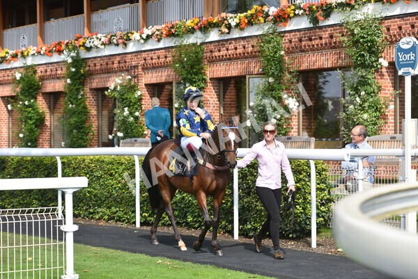 yr05092021rP-68 - Pony Races 138 and 148 cm