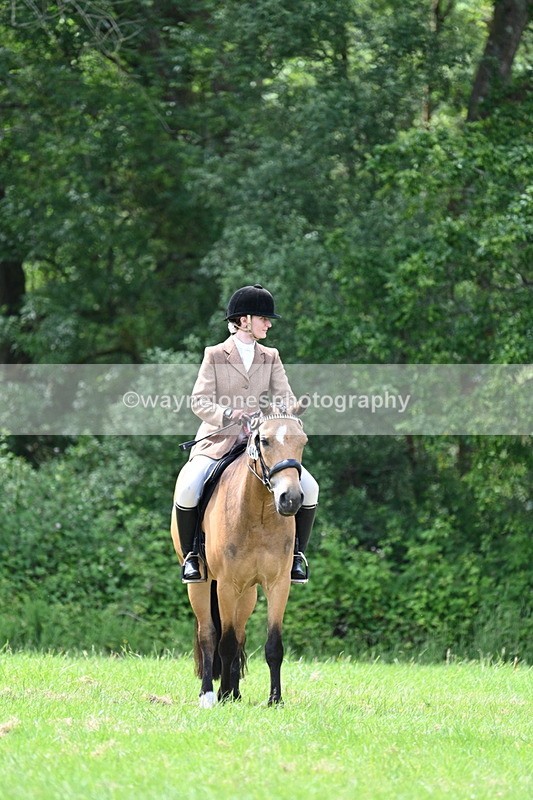 WJ7_2714 - Class 12A Coloured Class
