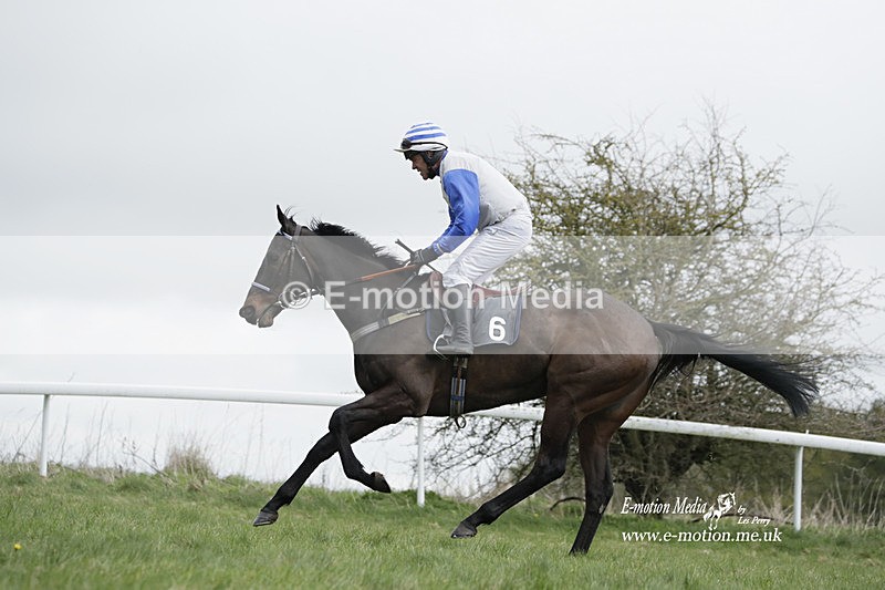 PtP 260323 0683 - New Forest Hounds Point-to-Point Larkhill 26/03/23