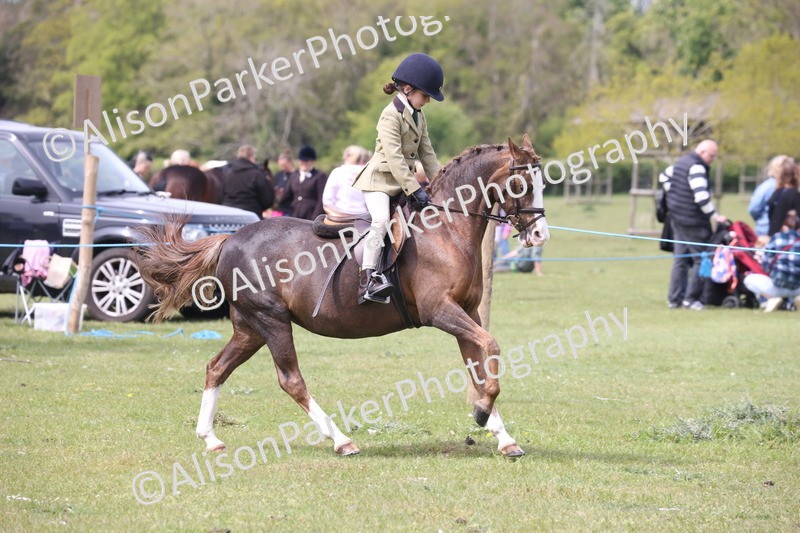 20260426-2976 - Class 33 - Best Pony 14.2hh and Under