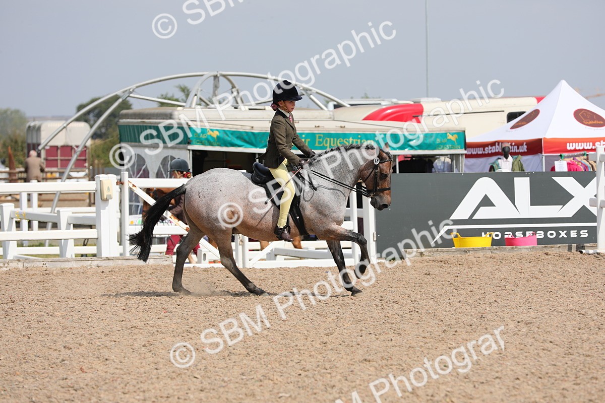 SBM_14746 - Class 310 First Ridden Pony