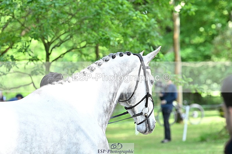 250521A-153337-00590 - B-311-Barnie.Brotherton-WHIXLEY.QUALITAS