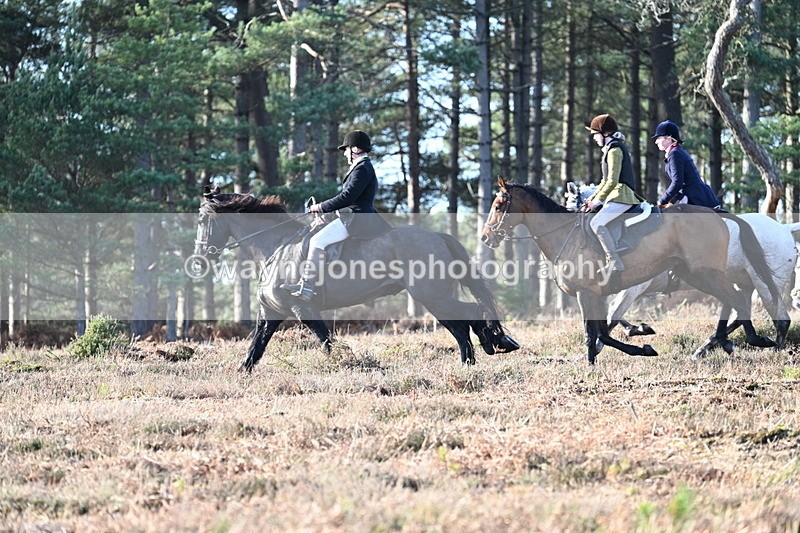 WJ7_7044 - Line 3 (no line 4 or 5)