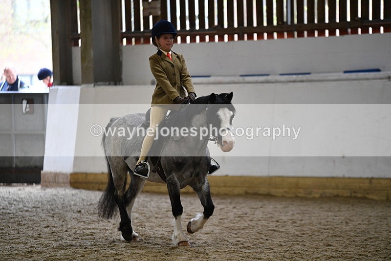 WJ5_6882 - Class 10 Childs Pony