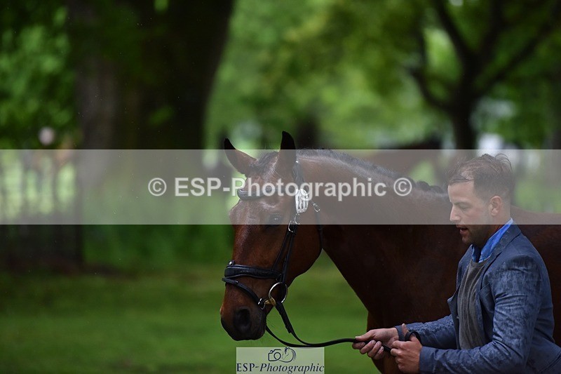 240522-162148-00861 - 231-DHI_ROCK_DANCER-Roberto_Scalisi