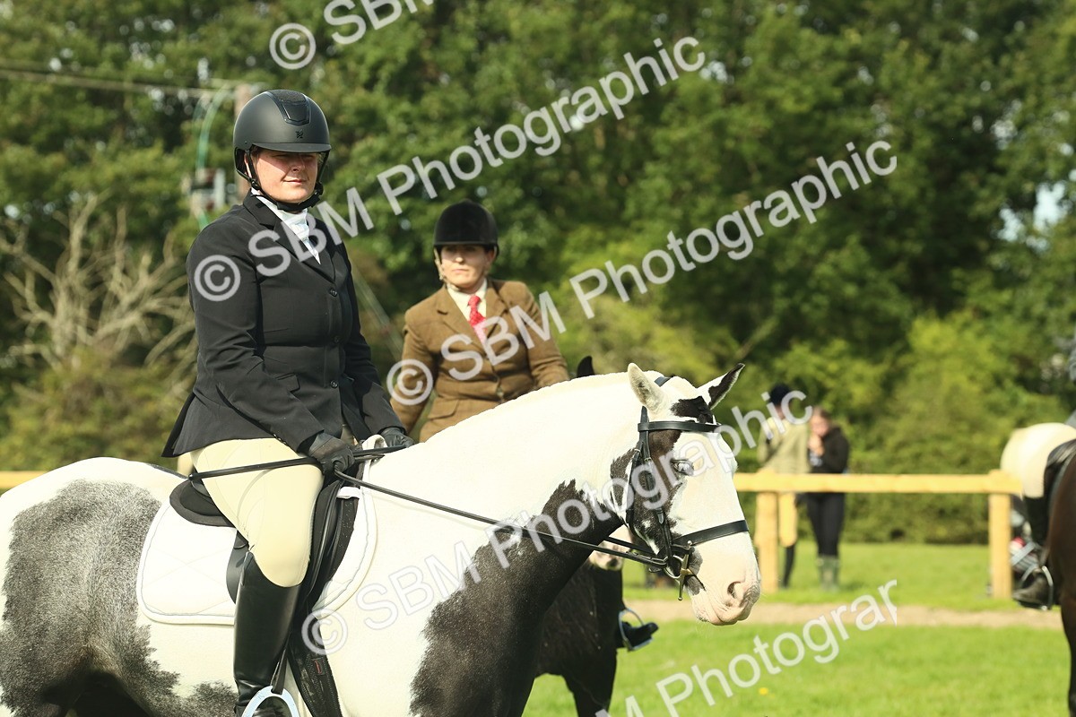 SBM_66577 - S34 - Rehabilitated Rescue Horse & Pony In Hand & Ridden