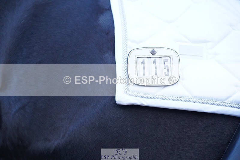 241214-093214-00057 - 115-Joe.Roome-Monarchs.Way.Tobiah