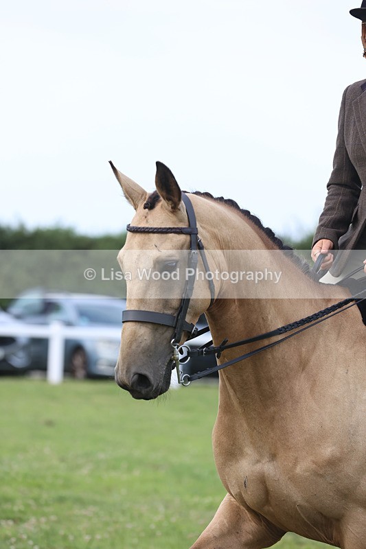 JPP_4363 - Class 26: Working Hunter 1m
