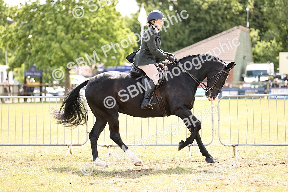 SBM_14530 - Class 88-89 - LIHS BSHA Rising Star of Ridden Hunter Type