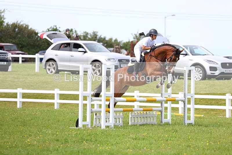 3E7A1511 - Class 13: Senior British Novice/90cm open