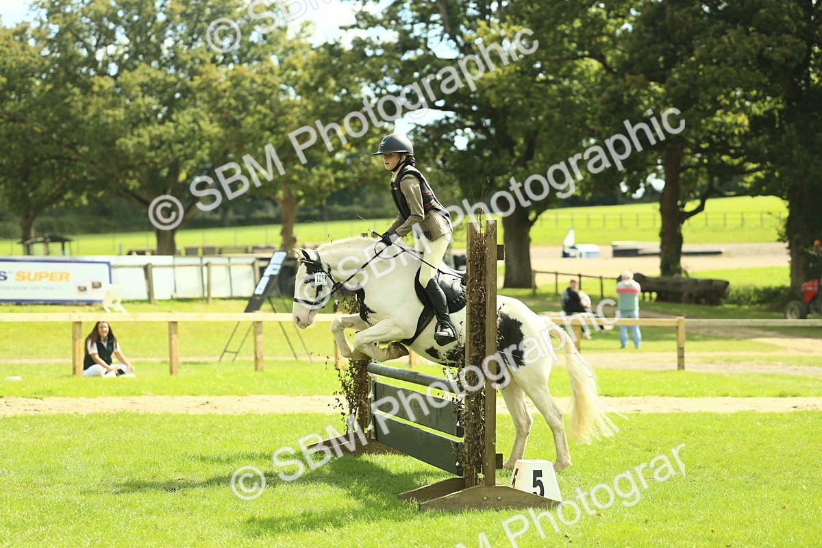 SBM_44703 - S31 - Working Hunter Pony