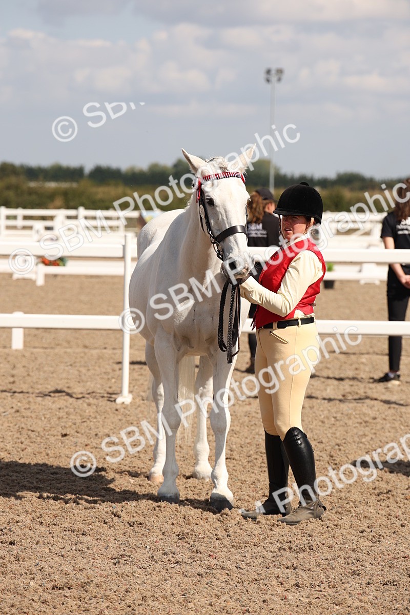 SBM_03395 - Class 18 Handsomest Gelding (IH or Ridden)