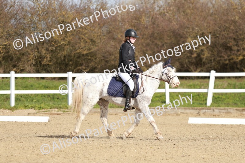 20260314-1122 - DR2 - Intro 3