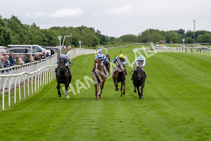 230524-Race 3-See The Green-1567 - Race 3