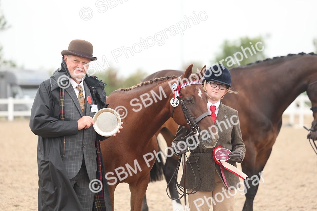SBM_19886 - Class 318 - IH Part Bred Horse-Pony