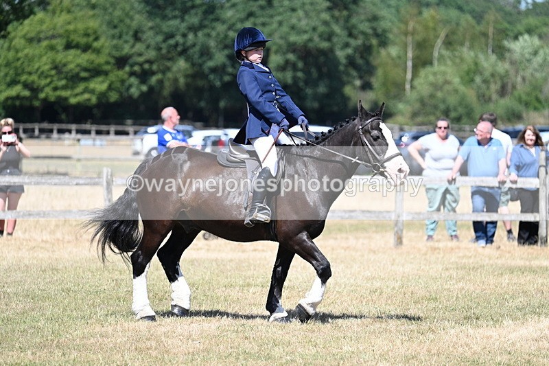 WJ7_3705 - Class 8 Ridden Veterans
