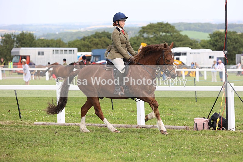 JPP_3845 - Class 23: Working Hunter 80cm