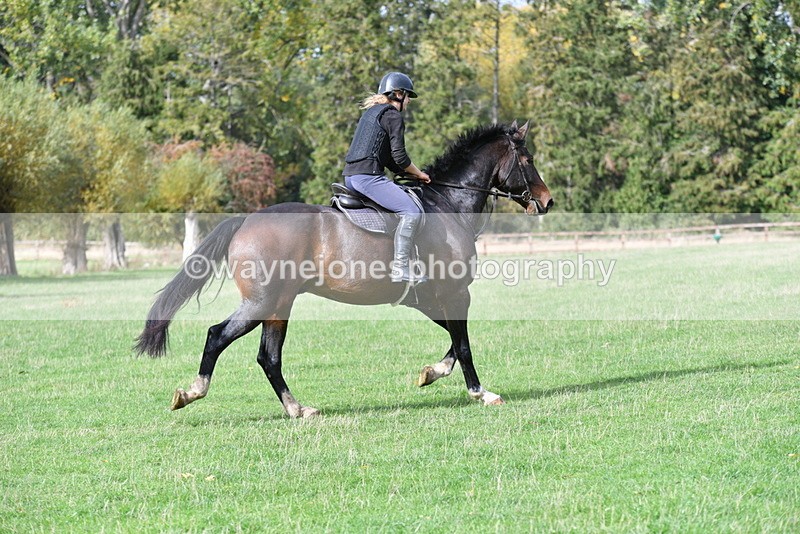 WJ5_0085 - Time 13:25 to 13:58