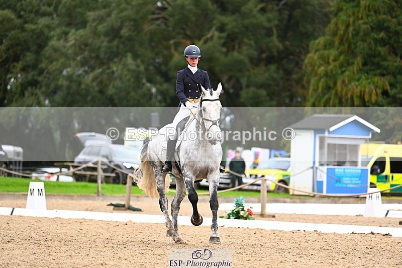 231020-165706-12431 - 316-I.ELLIE.JAY.BUMBLE-Henrietta.Ewell-DR