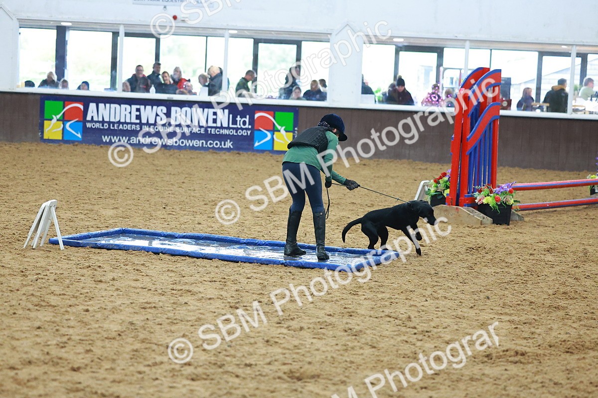 SBM_002418 - Class 3 - Horse & Hound (60cm)