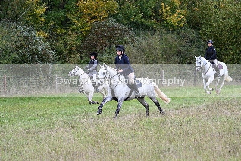 WJ7_3793 - Camera 1 Line 1