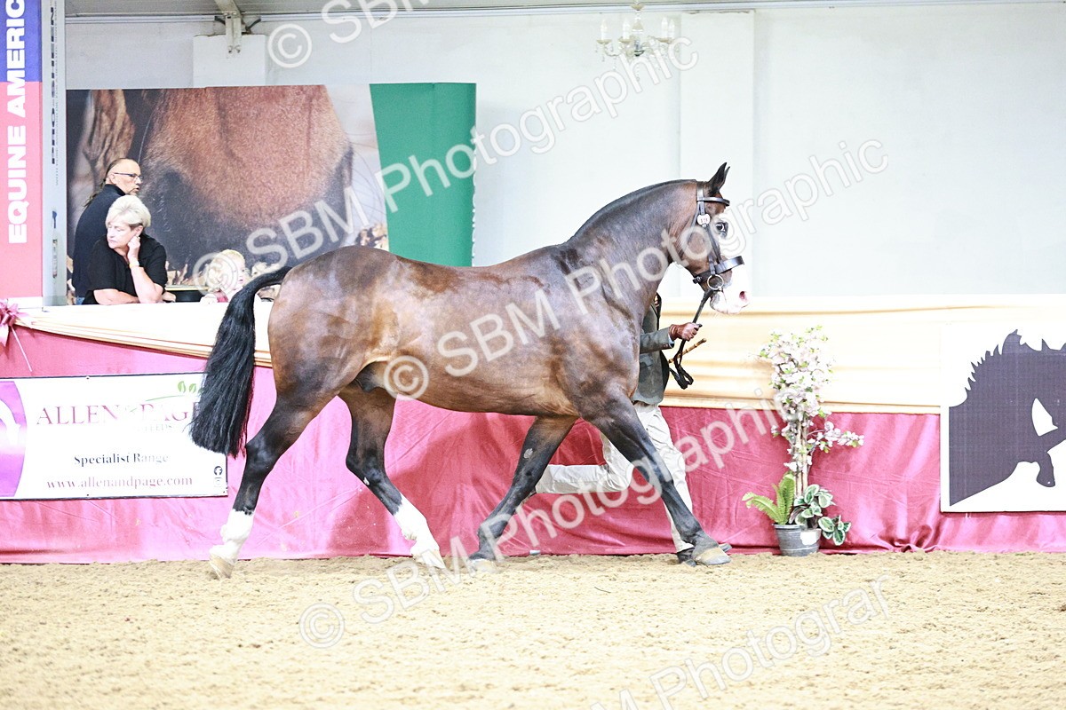 SBM_01166 - Class 3A - Area IH Pre-Vet
