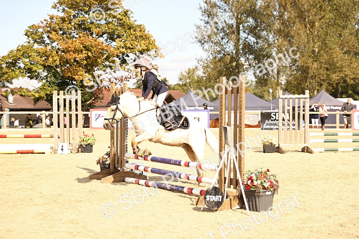 SBM_62065 - J12 - Junior Pony 55cm Championship