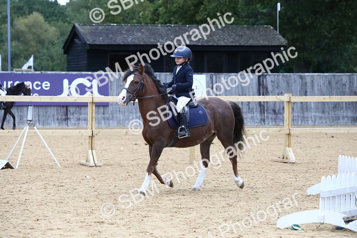 SBM_68340 - J3b - Mini Tour Junior Pony 40cm Championship