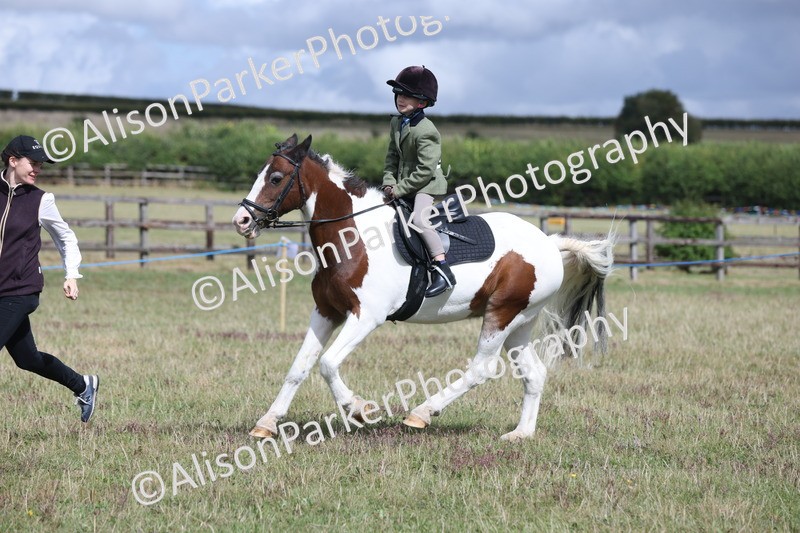 20250831-4324 - Class 20 - Ridden Coloured