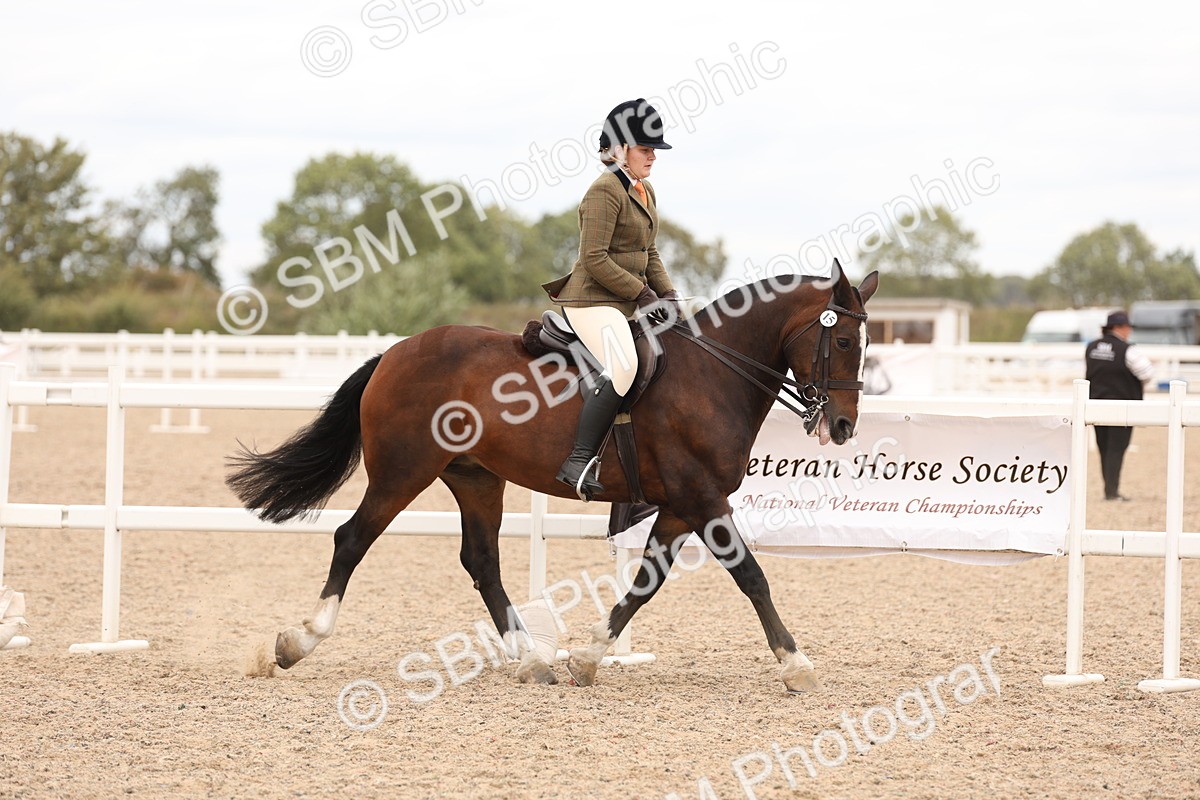 SBM_19516 - Class 215 - Ridden Show cob