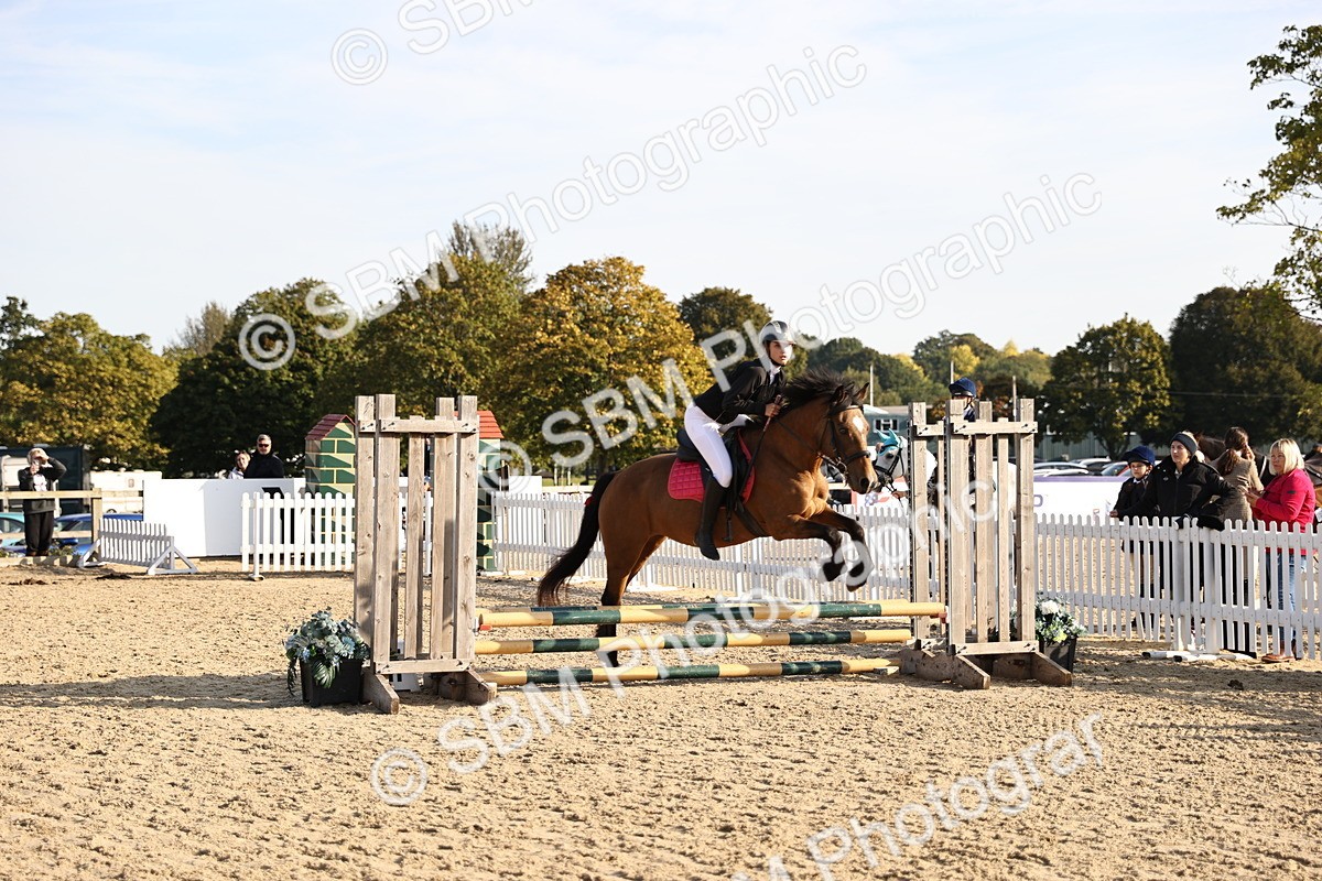SBM_59603 - J11 - Junior Pony 50cm Championship