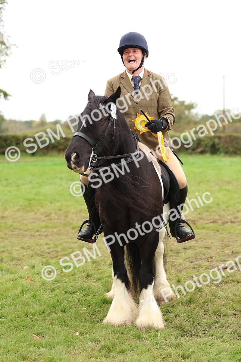 SBM_64673 - S58 - Coloured Pony Ridden