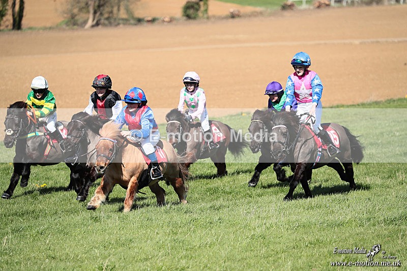 Shet 060426 277 - Shetland Pony Racing Paxford Races Easter Mon 06/04/26