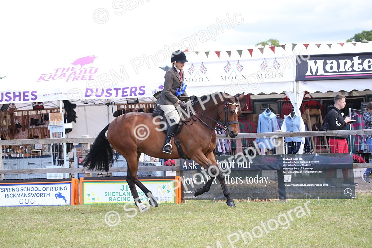 SBM_13288 - Class 95-96 - LIHS BSHA Rising Star Hack Riding Horse
