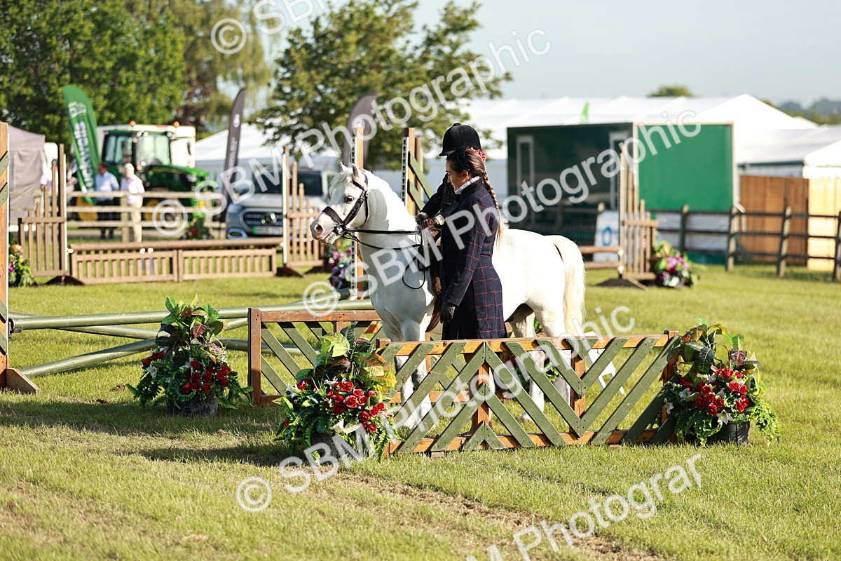 SBM_11096 - Class 106-107 - BSPS LIHS Working Sports Pony