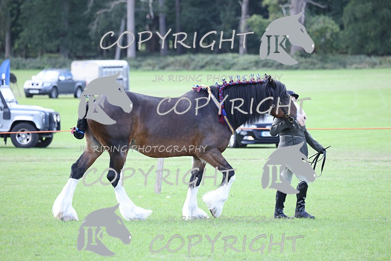 APP_3321 - Class 4 Veterans