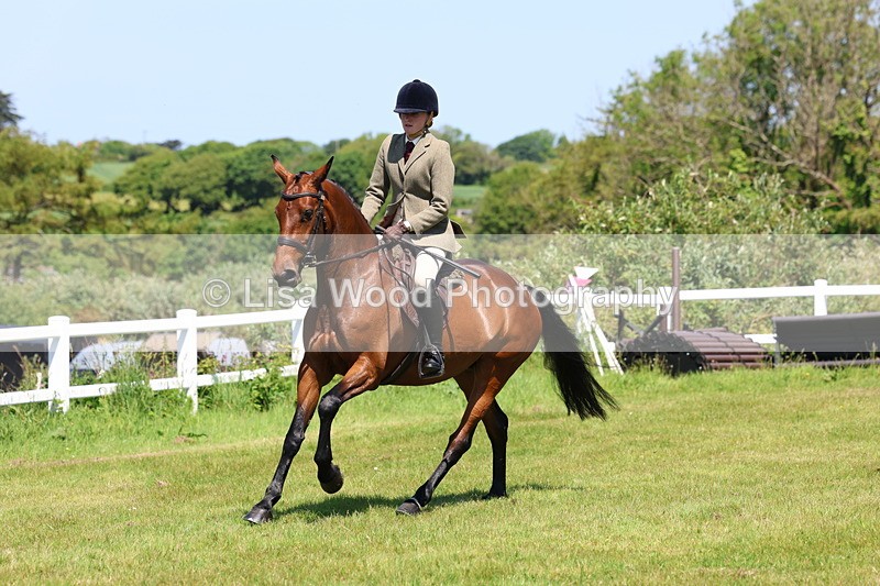 3E7A7223 - Class 30: Novice Working Hunter