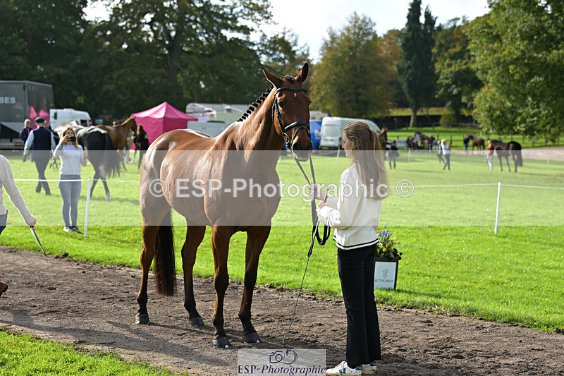 241023-131809-00193 - 011-Carla.Williamson-GOLDMAN