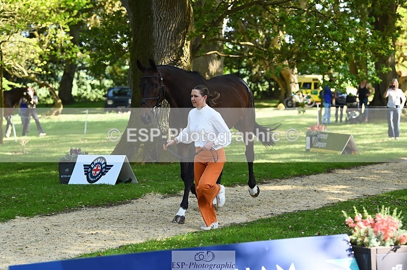 230524-161810-00823 - 263-CARWARTHEN_HARRIER-Polly_Muirhead-WEDTrotUp+DR
