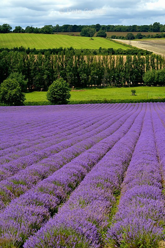  - Nature