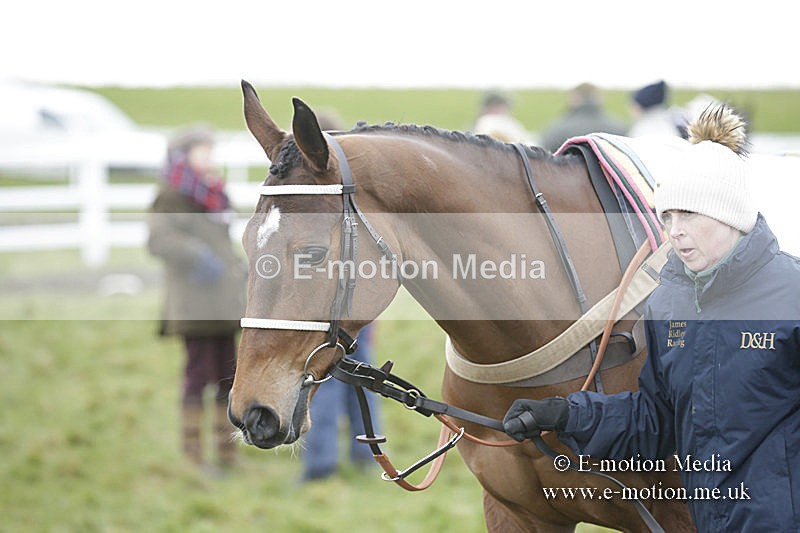 PtP 150320 0552 - New Forest Point-to-Point Larkhill 15/03/20