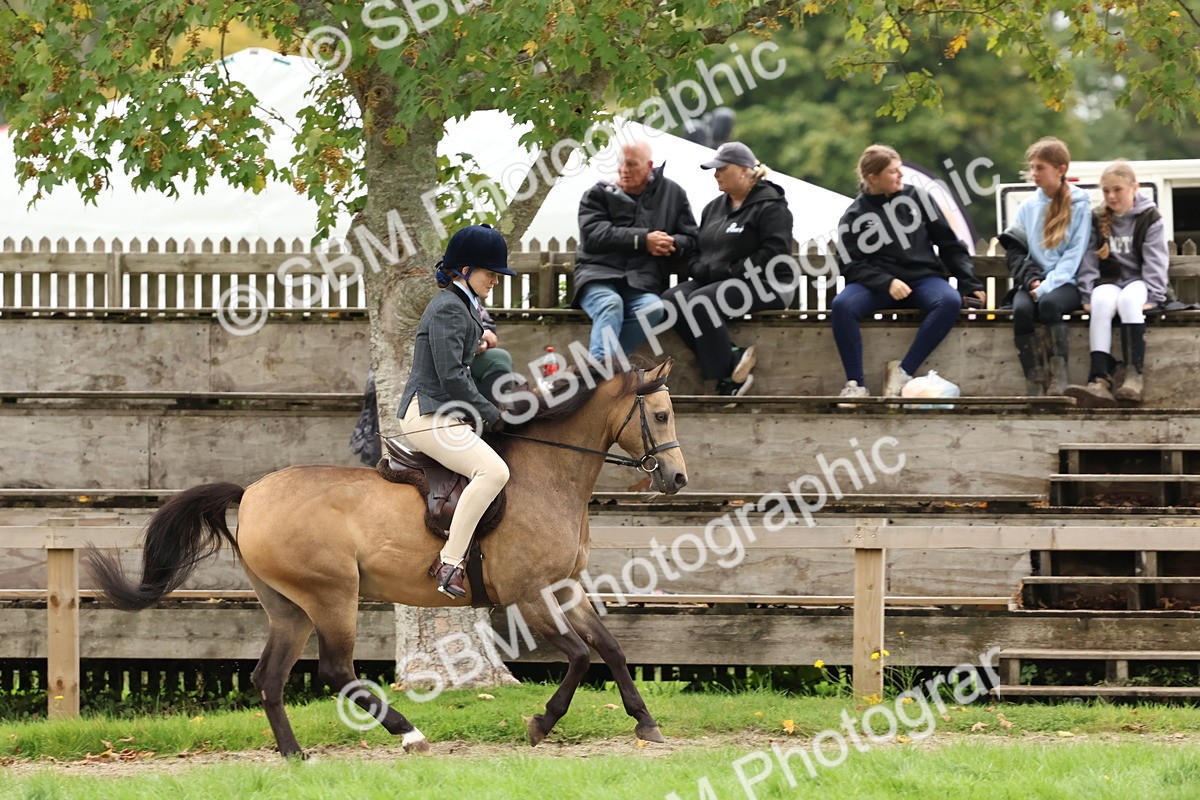SBM_67461 - S61 - Mountain & Moorland Ridden