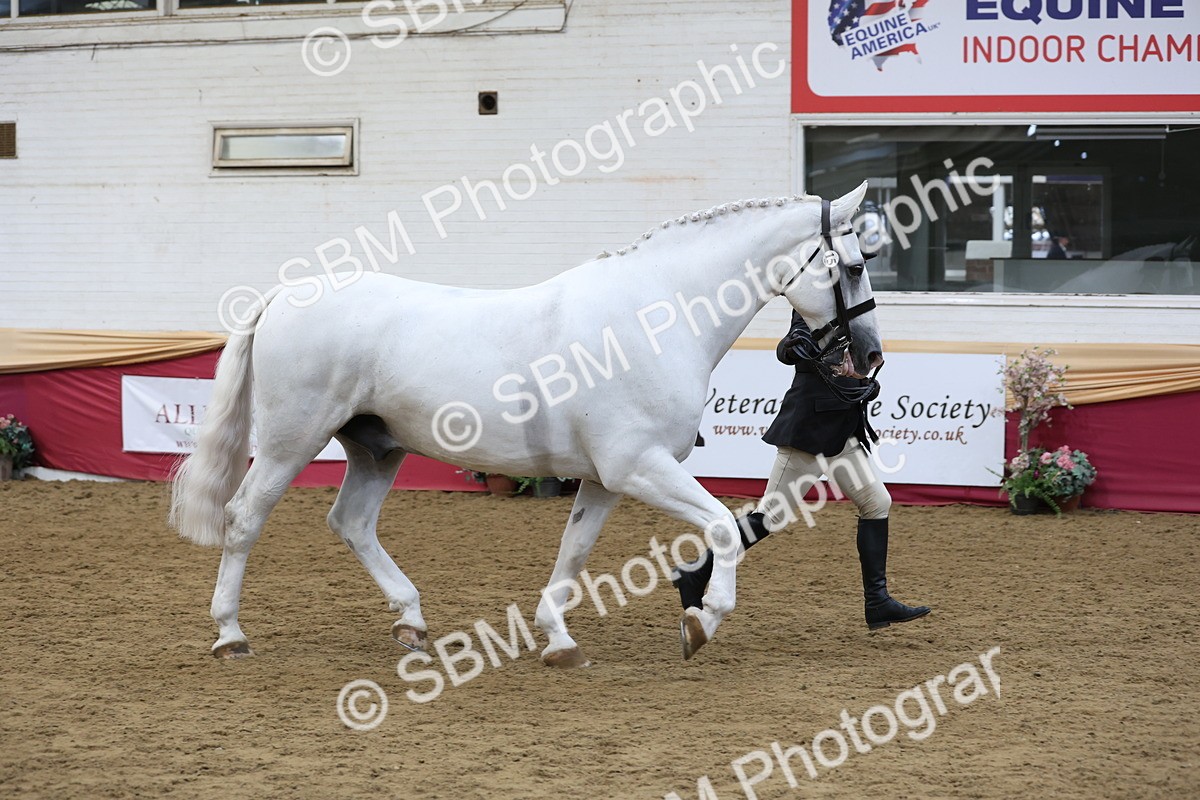 SBM_23676 - class 906 - Supreme Final - Ridden Pre Vet