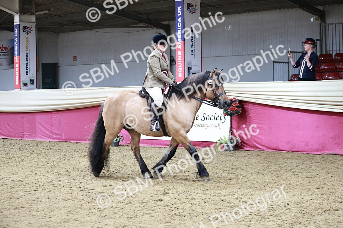 SBM_08401 - Class 11R - Regional Ridden Veteran