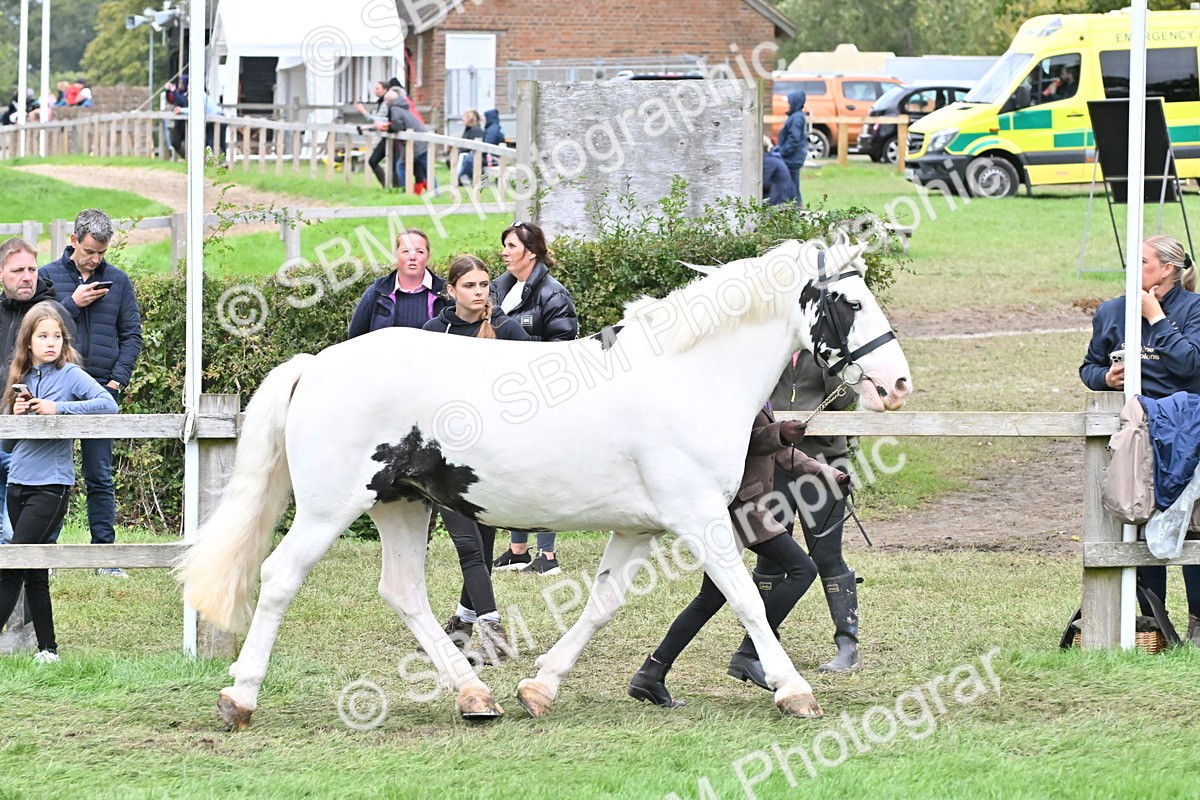 SBM_68549 - S42 - Junior Handler 9-12 Years