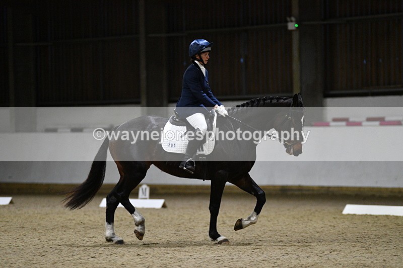 WJ5_8761 - Class 5 Novice Test 3