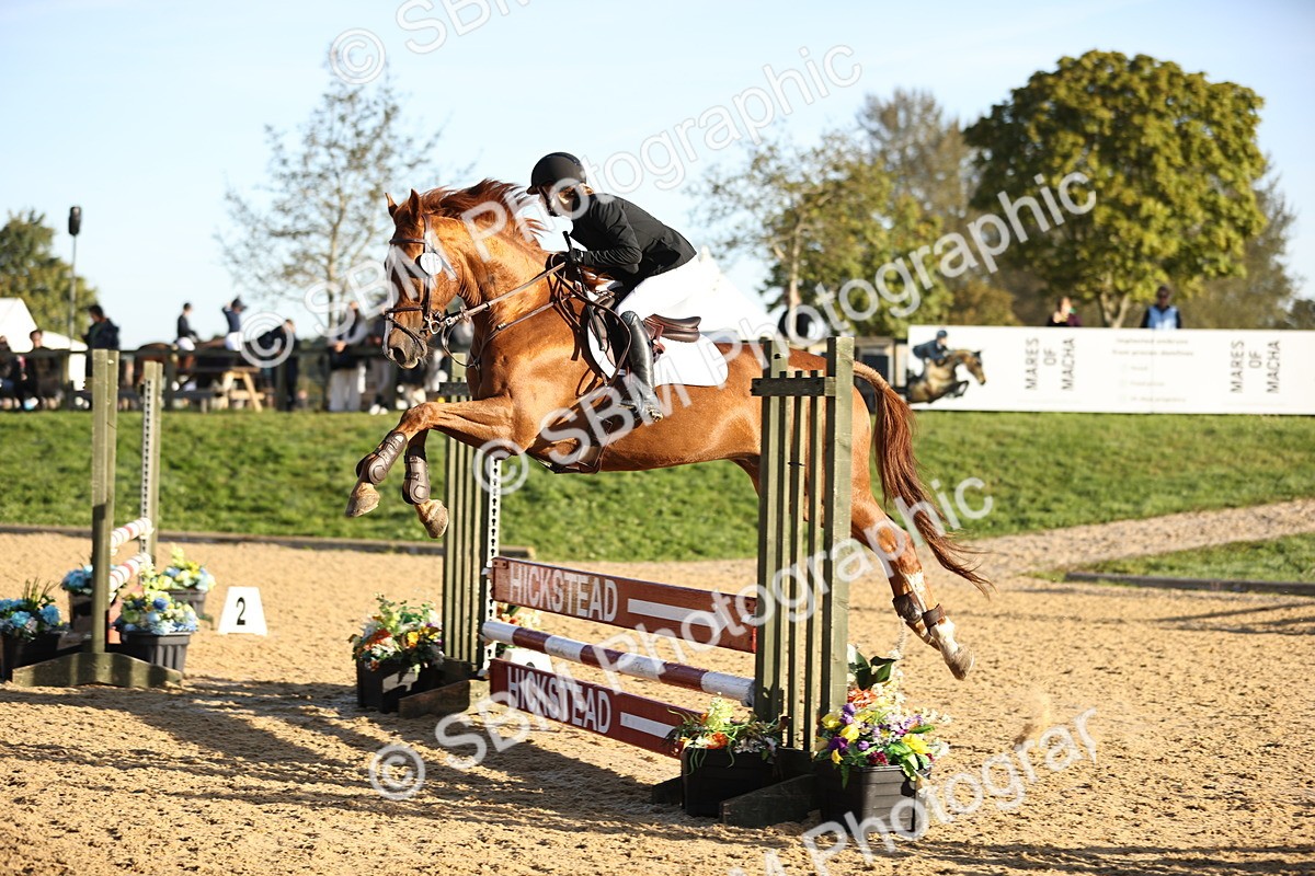 SBM_33160 - J38 - Senior 80cm Championship