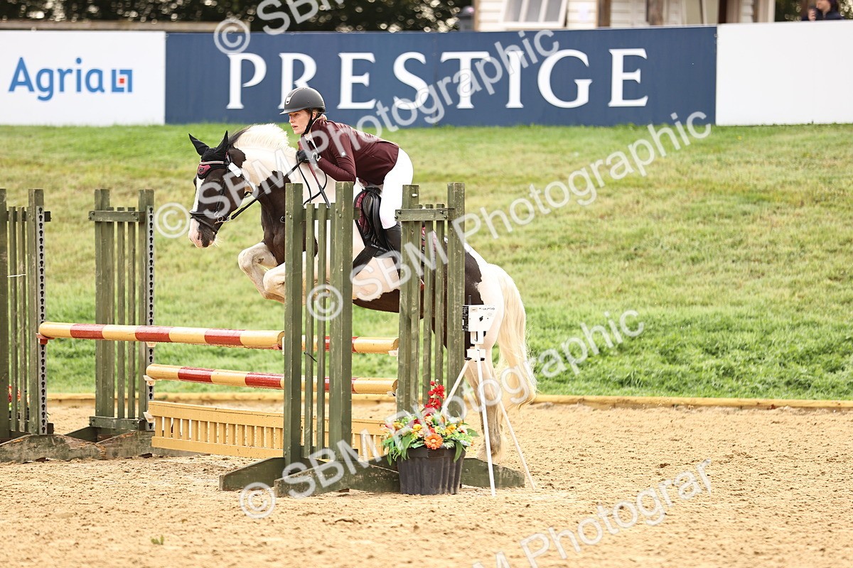 SBM_58211 - J41 - Grand Tour Horse & Pony 95cm