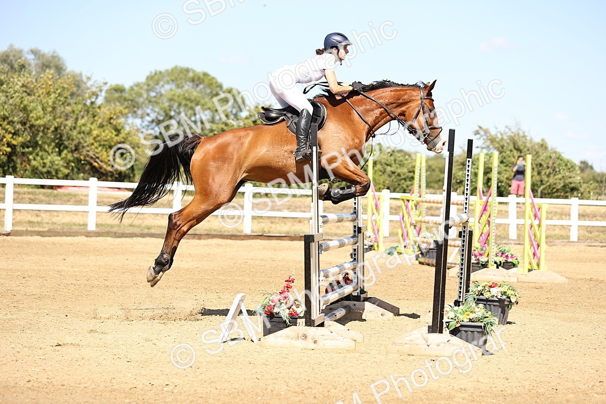 SBM_015312 - Class 16 - Senior foxhunter - 1.20m Open