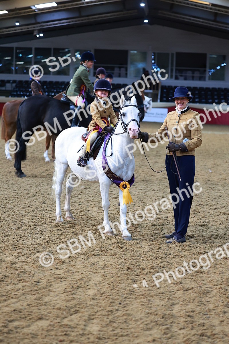 SBM_07743 - Class 101 - HOYS Veteran Qualifier - Ridden Diamond